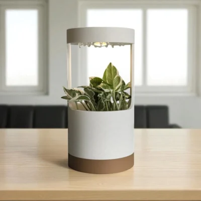 Lantern, desk vase with grow light and drip tray- 1 pc