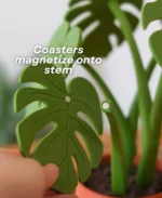 Leafix Monstera Coaster Set With Magnetic Leaves & Pot-1 pc - Image 7