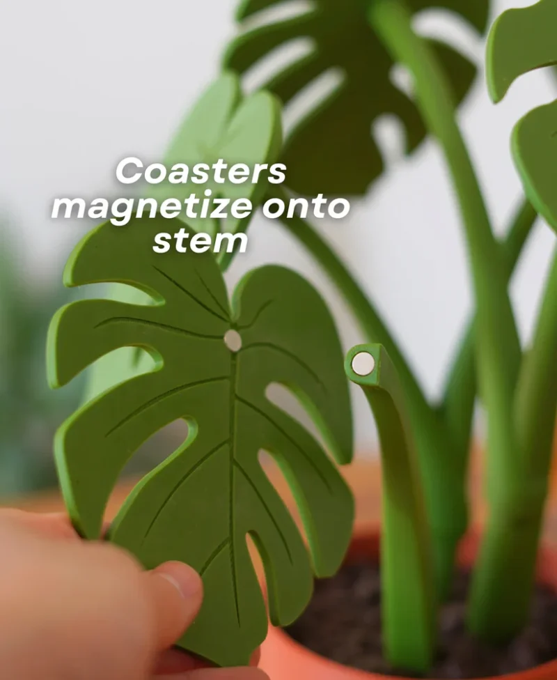 Leafix Monstera Coaster Set With Magnetic Leaves & Pot-1 pc - Image 7