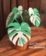 Leafix Monstera Coaster Set With Magnetic Leaves & Pot-1 pc - Image 8