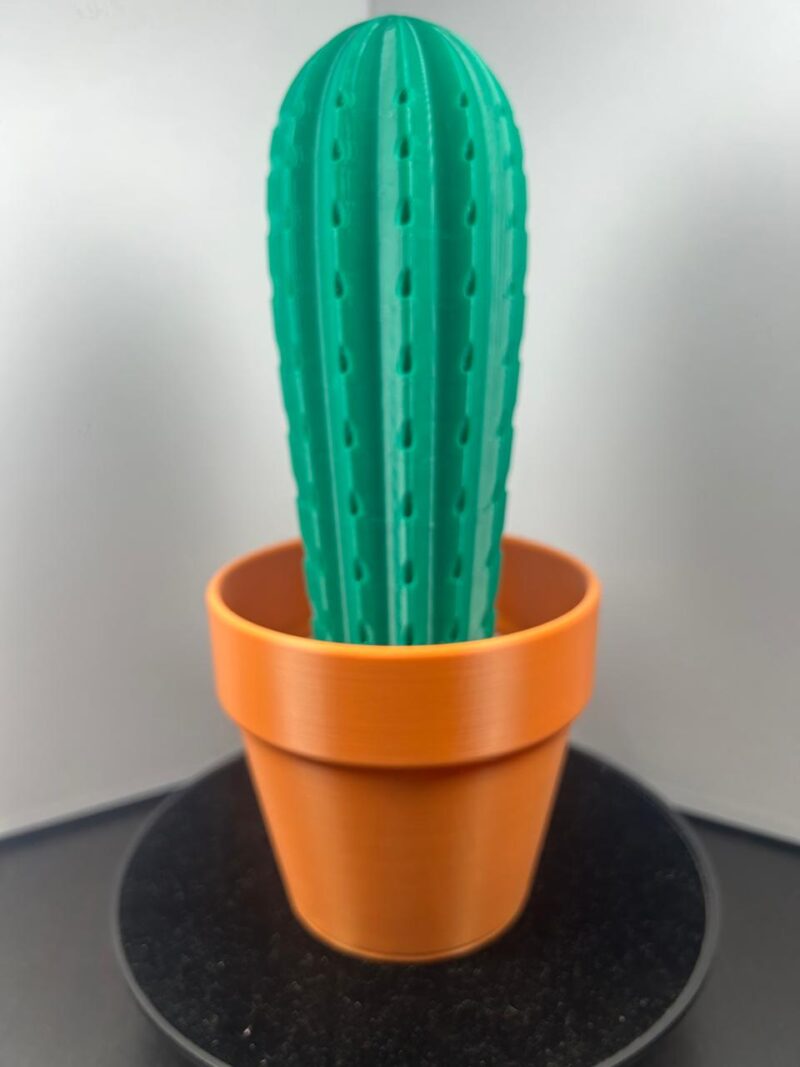 Forever Green – 3D Cactus Décor-Green that lasts forever. - Image 3