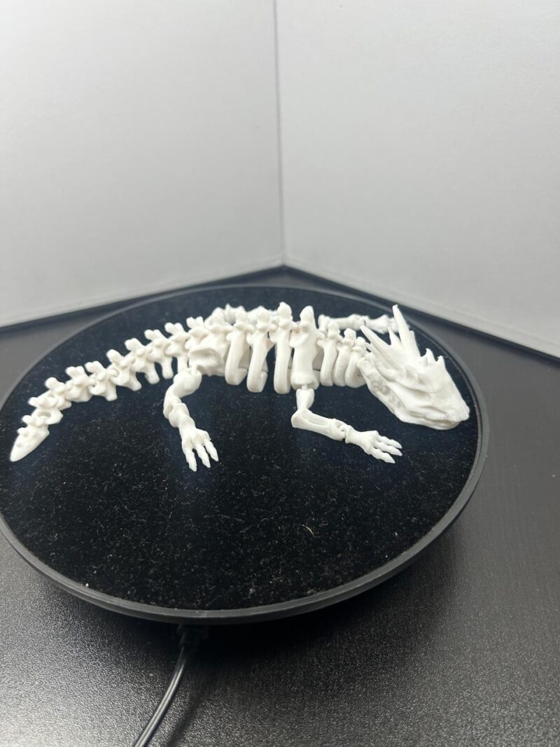 Articulated Skeleton Dragon - Image 4