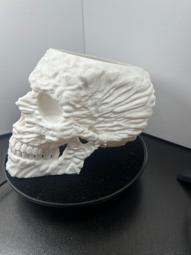3D Printed skull_decorative iteam - Image 2