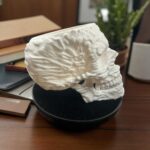 Zatomic_3D Printed skull