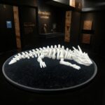 Zatomic_Articulated Skeleton Dragon