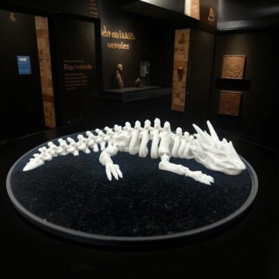 Zatomic_Articulated Skeleton Dragon